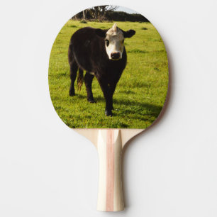 Black Cow With White Face, Ping Pong Paddle