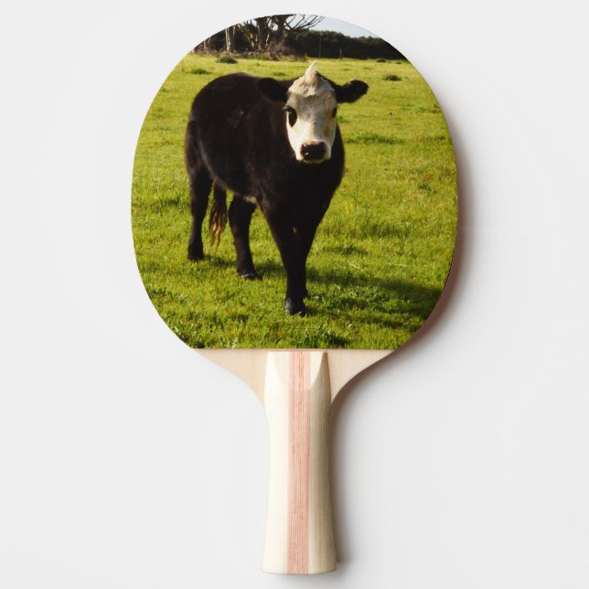 Black Cow With White Face, Ping Pong Paddle (Front)