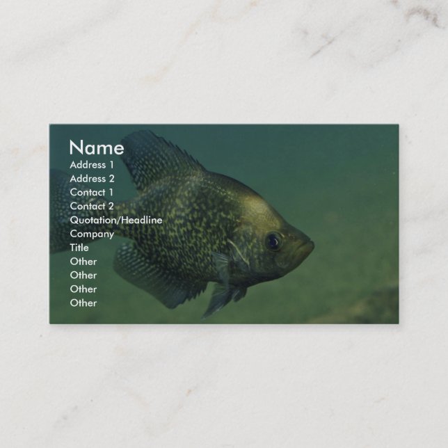 Black crappie business card (Front)