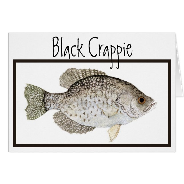 Black Crappie card (Front Horizontal)