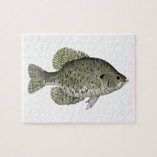 Black Crappie Jigsaw Puzzle