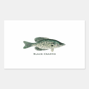 Black Crappie Rectangular Sticker