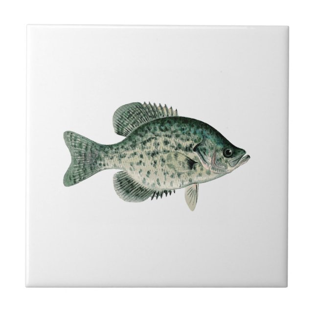 Black Crappie Tile (Front)
