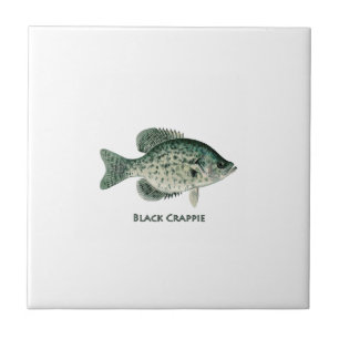 Black Crappie Tile