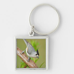 Black-Crested Titmouse Key Ring