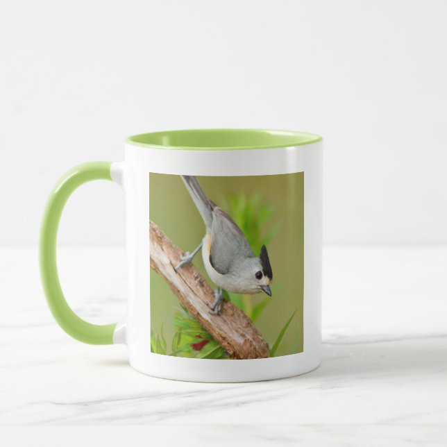 Black-Crested Titmouse Mug (Left)