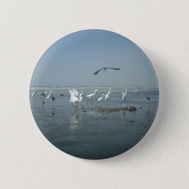 Black Crow and White Cranes: A Contrast in Nature 6 Cm Round Badge (Front)