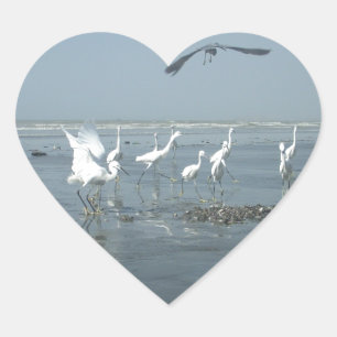 Black Crow and White Cranes: A Contrast in Nature Heart Sticker