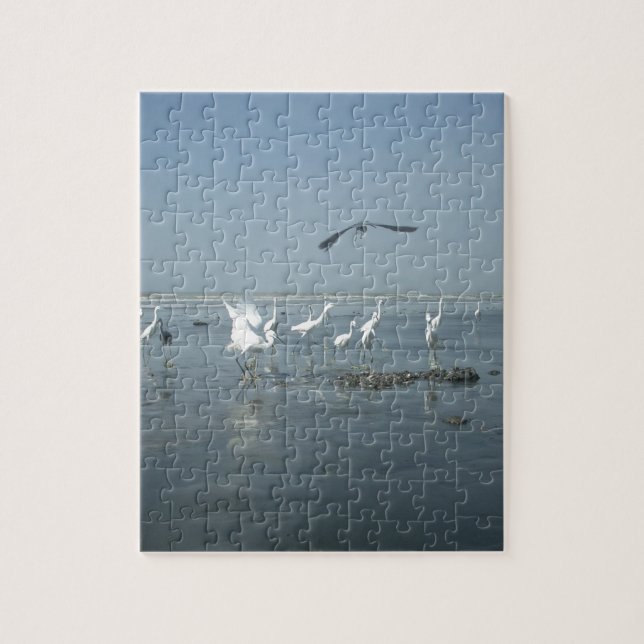 Black Crow and White Cranes: A Contrast in Nature Jigsaw Puzzle (Vertical)