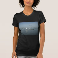 Black Crow and White Cranes: A Contrast in Nature