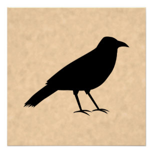Black Crow Bird on a Parchment Pattern. Poster