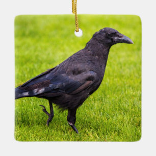 Black crow ceramic ornament