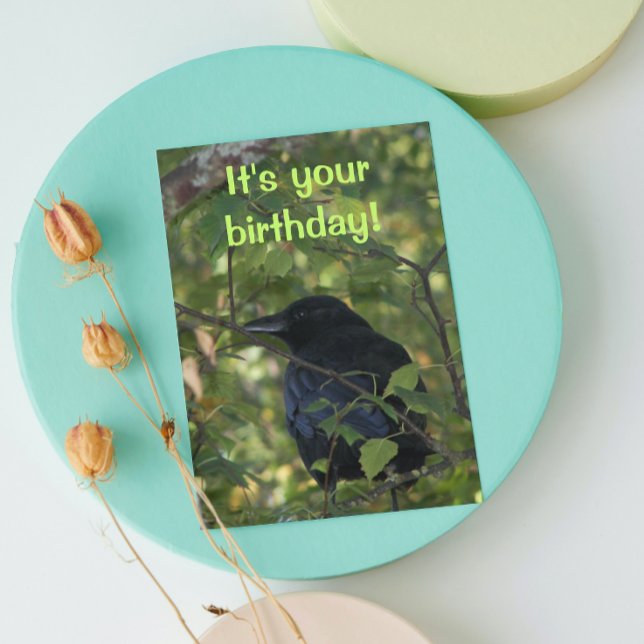Black Crow in Tree Funny Nature Birthday Card (In Situ)
