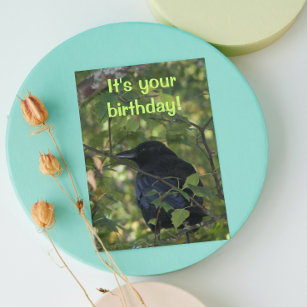 Black Crow in Tree Photo Birthday Card