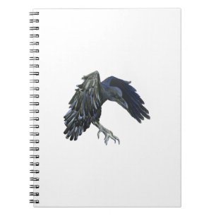 Black Crow Master of Time Illustration Notebook