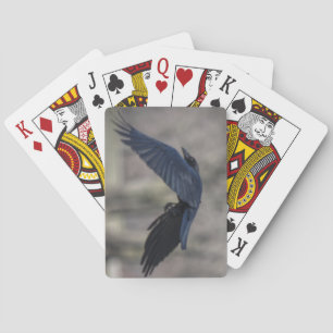 Black Crow Playing Cards