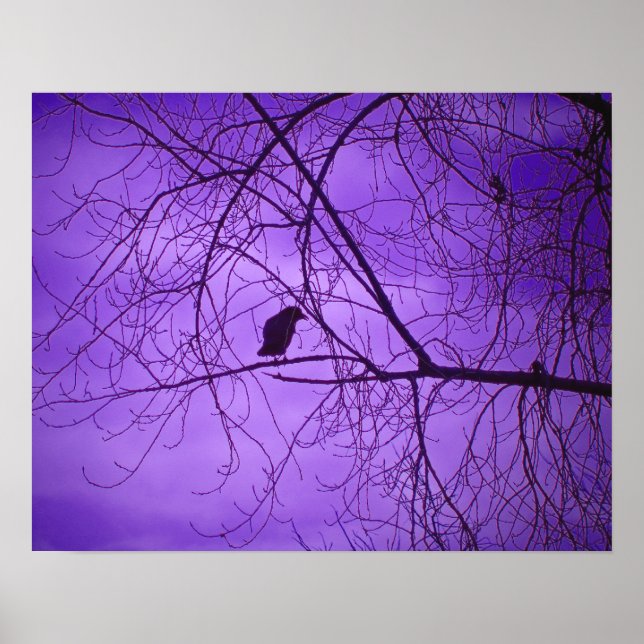 Black Crow Purple Sky Poster (Front)