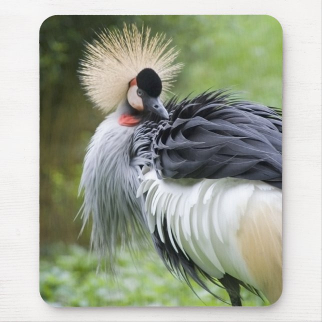 Black Crowned Crane Mousepad (Front)
