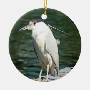 Black Crowned Night Heron Looking For A Meal Ceramic Tree Decoration