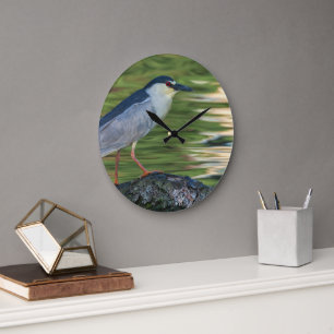 Black-crowned Night Heron Portrait Large Clock