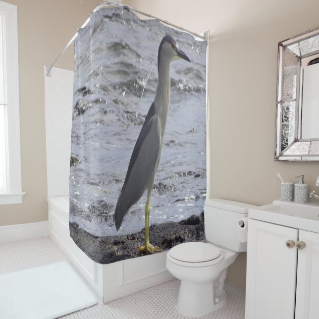 Black Crowned Night Heron Shower Curtain (In Situ)