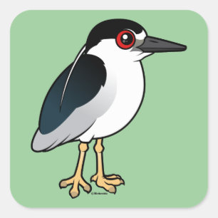 Black-crowned Night Heron Square Sticker