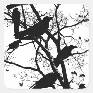 Black Crows Square Sticker