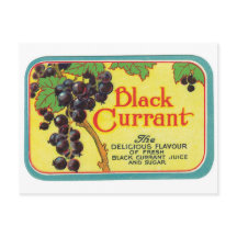 Black Currant Juice Dark Berries Vintage Label Art
