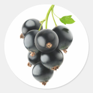Black currants classic round sticker