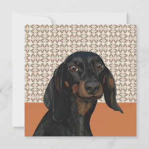 Black Dachshund Dog Portrait Dog Lovers