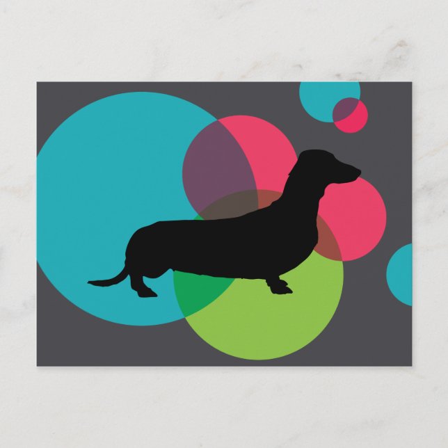 Black dachshund with bright dot pattern postcard (Front)