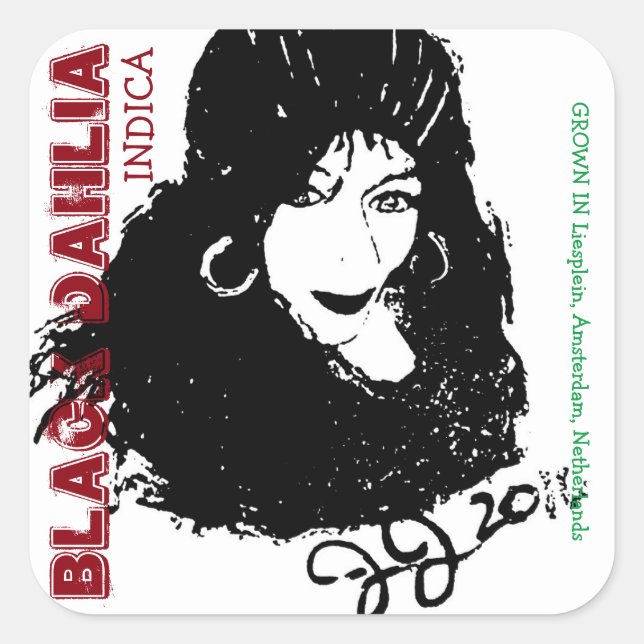 BLACK DAHLIA INDICA SQUARE STICKER (Front)
