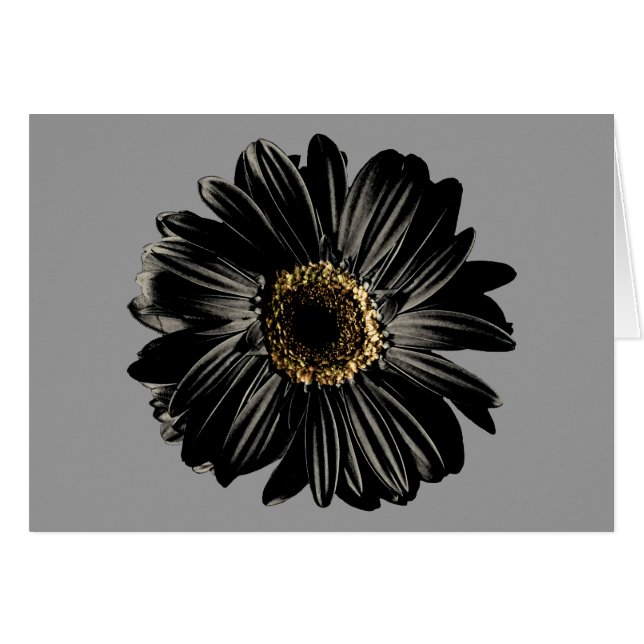 Black Daisy (Front Horizontal)