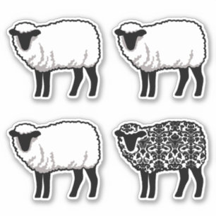 Black Damask Sheep