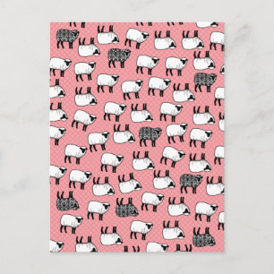 Black Damask Sheep Postcard