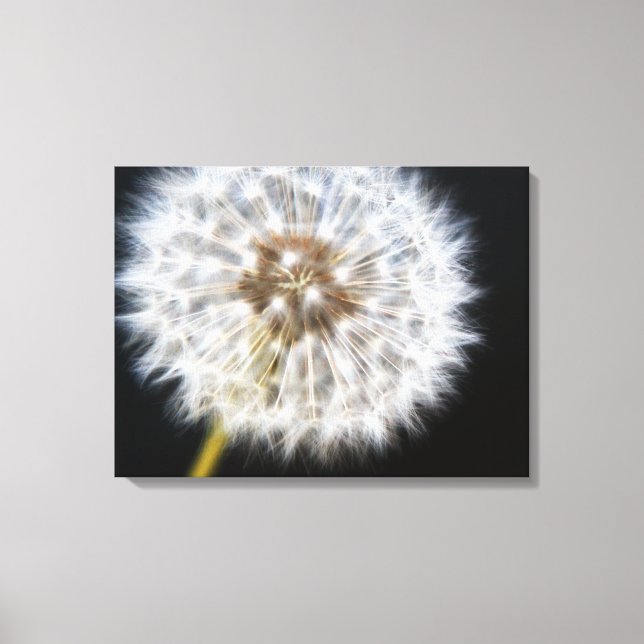 Black Dandelion Canvas Print (Front)