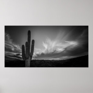 black desert poster