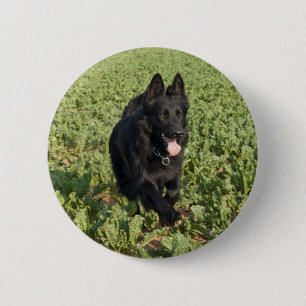 Black Dog 6 Cm Round Badge