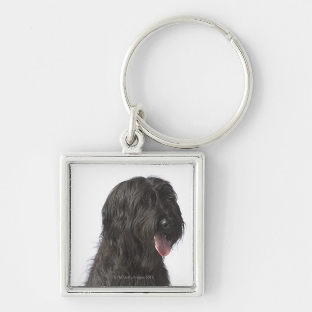 Black dog, Briard Key Ring (Front)