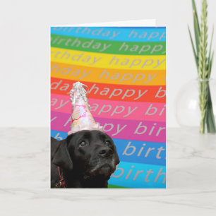 Black Dog Colourful Happy Birthday Text Card