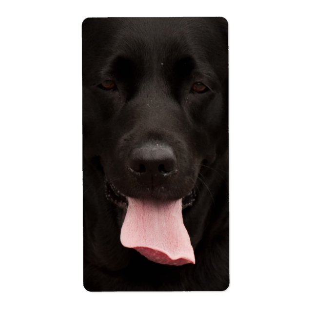 Black dog face (Front)