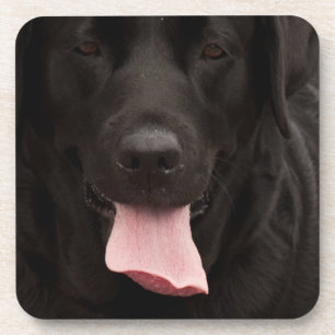 Black dog face coaster