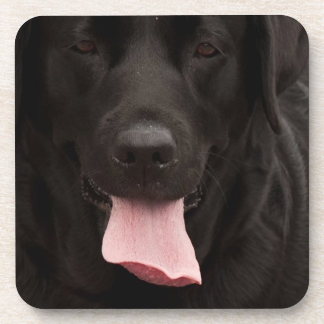 Black dog face coaster (Front)