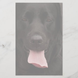 Black dog face stationery