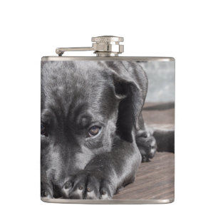 Black Dog Hip Flask