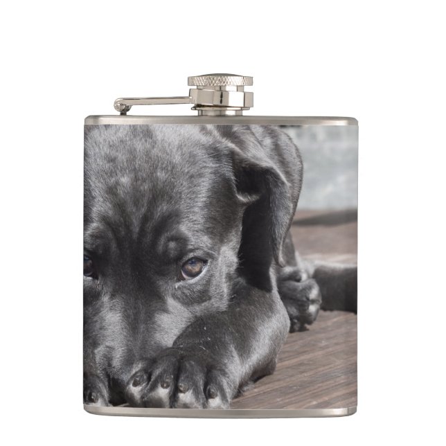 Black Dog Hip Flask (Front)