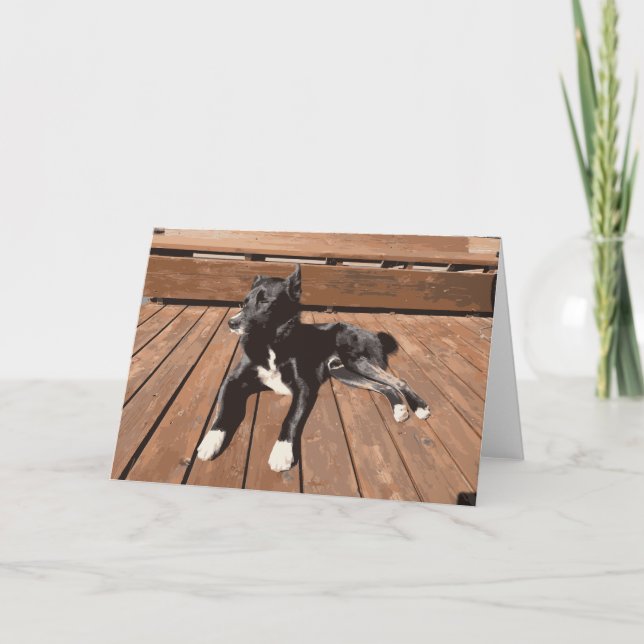 Black Dog Laying On A Deck Sleepy Puppy Card (Front)