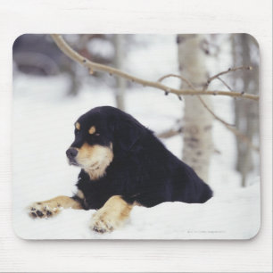 Black dog lying in snow mouse mat