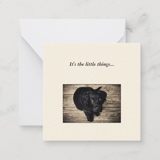 Black Dog Mini Thank You Note Card (Front)