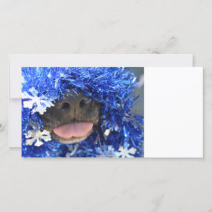 Black dog nose tongue out blue tinsel